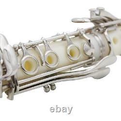 17 Keys B Flat Clarinet with CLEAning Cloth Reeds And