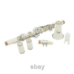 17 Keys B Flat Clarinet with Case Cleaning Cloth Gloves and Screwdriver Accs