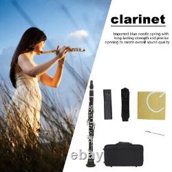 17 Keys B Flat Clarinet with Strap & Cleaning Cloth for Adults Kids Students