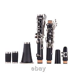 ABS 17- Clarinet Bb Flat with Carry Cleaning Cloth B4N1