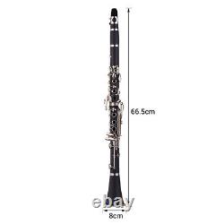 ABS 17- Clarinet Bb Flat with Carry Cleaning Cloth B4N1