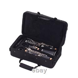 ABS 17- Clarinet Bb Flat with Carry Cleaning Cloth B4N1