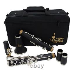 Bb clarinet with 17 keys, 5 rings, ABS plastic, with carrying case