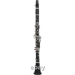 (Black)Clarinet Set 17 Key Wood Bb With Cleaning Cloth Reed Screwdriver Box LVE