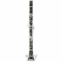 Buffet Crampon R13 Professional Bb Clarinet with 17 Silver Plated Keys pro clar