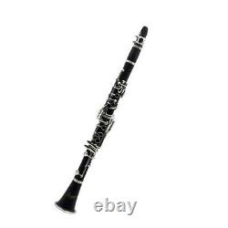 Portable Exquisite ABS 17 Clarinet Orchestral Woodwind Instrument