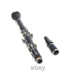 Professional 17 Key B Tone Clarinet with Case + Care Kit for Beginner Black UK