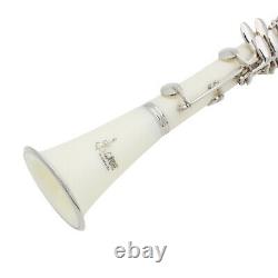 Professional B Flat Clarinet with Case Cleaning Cloth Reeds and Screwdriver
