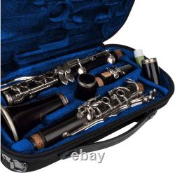 Protec Micro-Sized ABS Protection Clarinet Case, Silver (BM307SX)