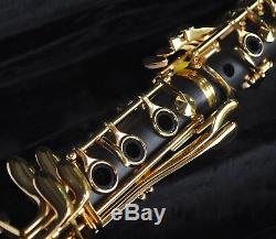 STERLING Bb Gold CLARINET NEW Excellent quality Perfect for school