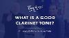 What Is A Good Clarinet Tone With Professional Clarinetists Michael Wayne And Gregory Raden